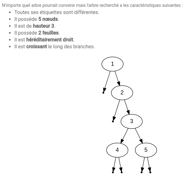 Un arbre est recherché !